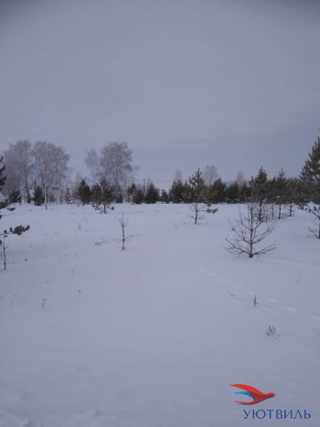 Земельный участок поселок Баженово в Нижняя Салда - nizhnyaya-salda.yutvil.ru - фото 3