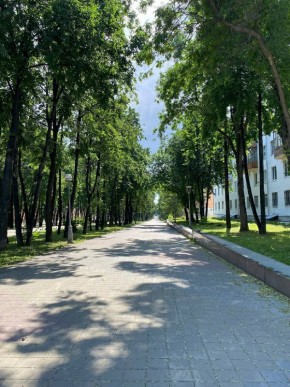 б-р. Культуры,25 в Нижняя Салда - nizhnyaya-salda.yutvil.ru - фото 39