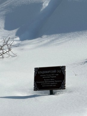 ДП Родной в Нижняя Салда - nizhnyaya-salda.yutvil.ru - фото 11