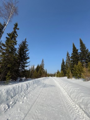 ДП Родной в Нижняя Салда - nizhnyaya-salda.yutvil.ru - фото 7