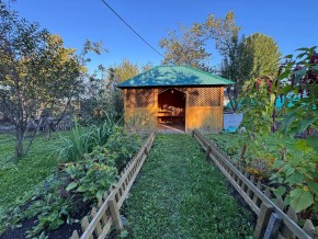 Екатеренбург сад Торгмаш, СНТ  Садовод, уч. 52 в Нижняя Салда - nizhnyaya-salda.yutvil.ru - фото 10