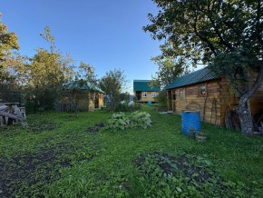 Екатеренбург сад Торгмаш, СНТ  Садовод, уч. 52 в Нижняя Салда - nizhnyaya-salda.yutvil.ru - фото 14