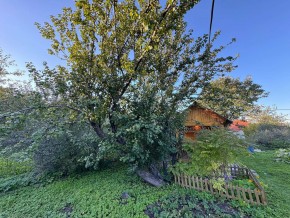 Екатеренбург сад Торгмаш, СНТ  Садовод, уч. 52 в Нижняя Салда - nizhnyaya-salda.yutvil.ru - фото 17