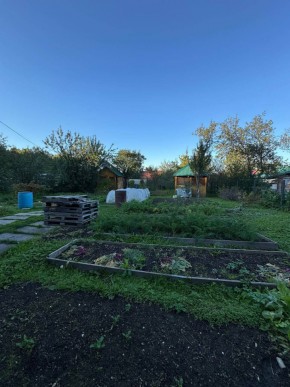 Екатеренбург сад Торгмаш, СНТ  Садовод, уч. 52 в Нижняя Салда - nizhnyaya-salda.yutvil.ru - фото 19