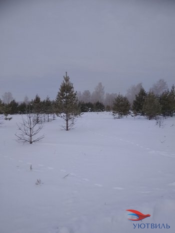 Земельный участок поселок Баженово в Нижняя Салда - nizhnyaya-salda.yutvil.ru - фото 5
