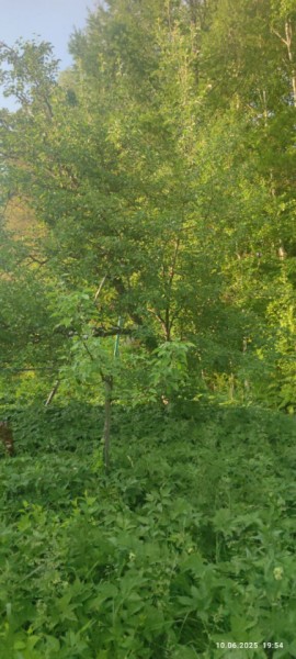 г Верхняя пышма, СНТ Мираж, уч.№ 99 в Нижняя Салда - nizhnyaya-salda.yutvil.ru - фото 10