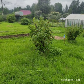 г Верхняя пышма, СНТ Мираж, уч.№ 99 в Нижняя Салда - nizhnyaya-salda.yutvil.ru - фото 11