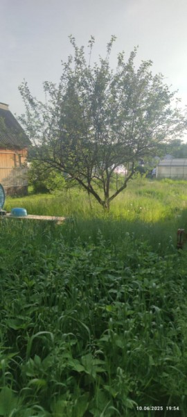г Верхняя пышма, СНТ Мираж, уч.№ 99 в Нижняя Салда - nizhnyaya-salda.yutvil.ru - фото 19