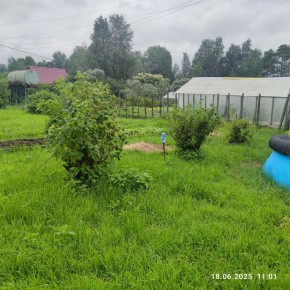 г Верхняя пышма, СНТ Мираж, уч.№ 99 в Нижняя Салда - nizhnyaya-salda.yutvil.ru - фото 22