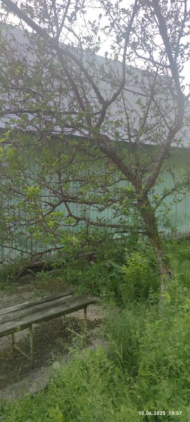 г Верхняя пышма, СНТ Мираж, уч.№ 99 в Нижняя Салда - nizhnyaya-salda.yutvil.ru - фото 26