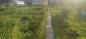 г Верхняя пышма, СНТ Мираж, уч.№ 99 в Нижняя Салда - nizhnyaya-salda.yutvil.ru - фото 3