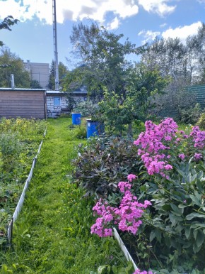 Коллективный сад номер 7, участок 58 в Нижняя Салда - nizhnyaya-salda.yutvil.ru - фото 23 Коллективный сад номер 7, участок 58 в Нижняя Салда - nizhnyaya-salda.yutvil.ru - фото 23