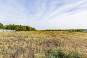 Российская Федерация, Свердловская область, Сысертский городской округ, территория садоводческого некоммерческого товарищества Бобровские дачи, улица Каштановая, земельный участок № 38 в Нижняя Салда - nizhnyaya-salda.yutvil.ru - фото 16