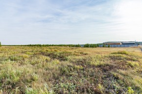 Российская Федерация, Свердловская область, Сысертский городской округ, территория садоводческого некоммерческого товарищества Бобровские дачи, улица Каштановая, земельный участок № 38 в Нижняя Салда - nizhnyaya-salda.yutvil.ru - фото 24