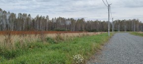 с. Новоалексеевское, КП Оникс,  в Нижняя Салда - nizhnyaya-salda.yutvil.ru - фото 2