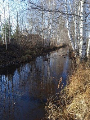 СНТ Берёзка в Нижняя Салда - nizhnyaya-salda.yutvil.ru - фото 14