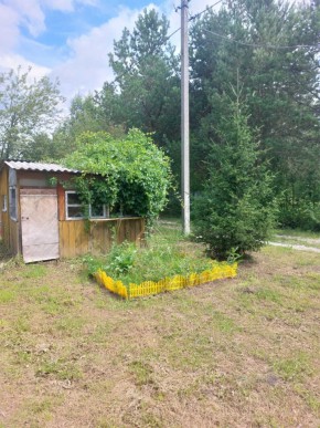 СНТ Родники в Нижняя Салда - nizhnyaya-salda.yutvil.ru - фото 2
