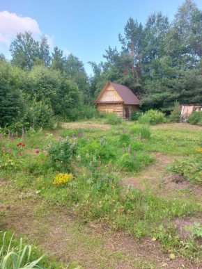 СНТ Родники в Нижняя Салда - nizhnyaya-salda.yutvil.ru - фото 3