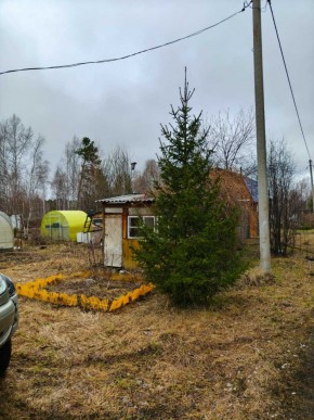 СНТ Родники в Нижняя Салда - nizhnyaya-salda.yutvil.ru - фото 5