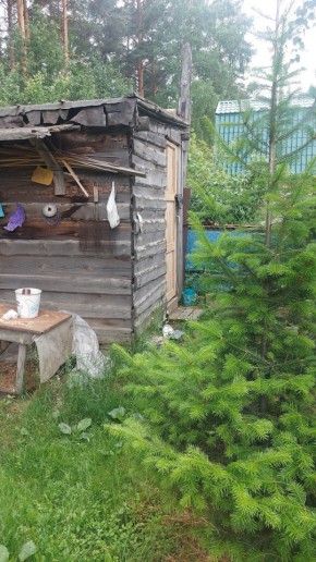 Екатеринбург, СНТ Садовод-24 в Нижняя Салда - nizhnyaya-salda.yutvil.ru - фото 13