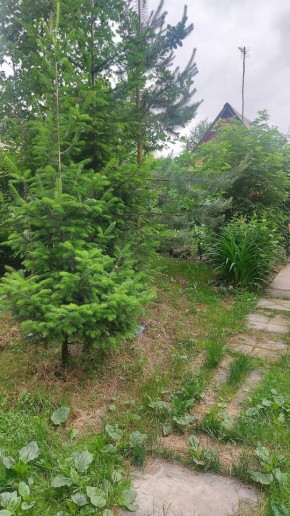 Екатеринбург, СНТ Садовод-24 в Нижняя Салда - nizhnyaya-salda.yutvil.ru - фото 15
