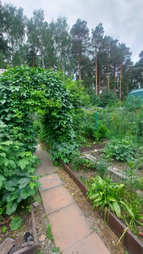 Екатеринбург, СНТ Садовод-24 в Нижняя Салда - nizhnyaya-salda.yutvil.ru - фото 20