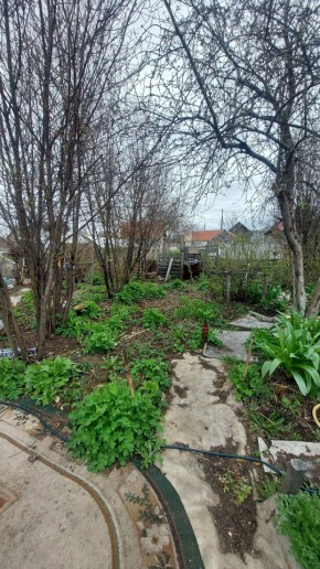 СНТ Сирень, уч. 38 в Нижняя Салда - nizhnyaya-salda.yutvil.ru - фото 7