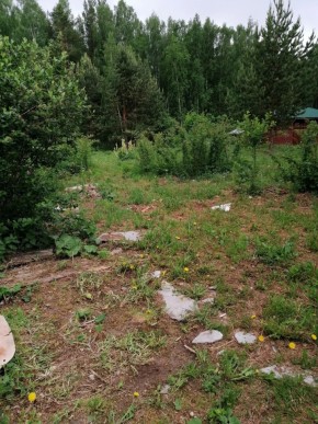 СТН Семья №112, Верхняя пышма на землях бывшего подсобного хозяйтва верхнепышминского опытного завода в Нижняя Салда - nizhnyaya-salda.yutvil.ru - фото 17 СТН Семья №112, Верхняя пышма на землях бывшего подсобного хозяйтва верхнепышминского опытного завода в Нижняя Салда - nizhnyaya-salda.yutvil.ru - фото 17