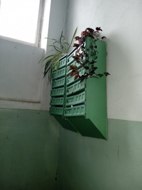 ул. Бажова,11 в Нижняя Салда - nizhnyaya-salda.yutvil.ru - фото 2