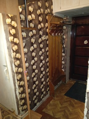 ул. Бажова,11 в Нижняя Салда - nizhnyaya-salda.yutvil.ru - фото 9