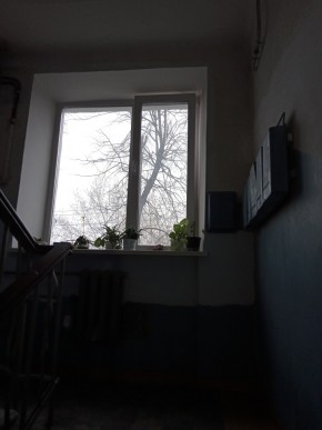 ул. Донбасская,27 в Нижняя Салда - nizhnyaya-salda.yutvil.ru - фото 5 ул. Донбасская,27 в Нижняя Салда - nizhnyaya-salda.yutvil.ru - фото 5