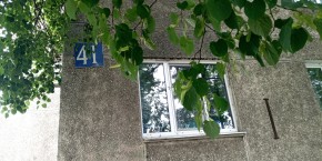 ул. Донбасская,41 в Нижняя Салда - nizhnyaya-salda.yutvil.ru - фото 11 ул. Донбасская,41 в Нижняя Салда - nizhnyaya-salda.yutvil.ru - фото 11
