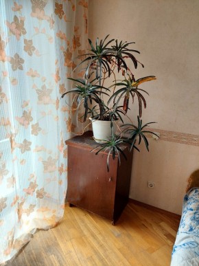 ул. Индустрии,29 в Нижняя Салда - nizhnyaya-salda.yutvil.ru - фото 4 ул. Индустрии,29 в Нижняя Салда - nizhnyaya-salda.yutvil.ru - фото 4