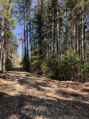 ул. Калиновая,9 в Нижняя Салда - nizhnyaya-salda.yutvil.ru - фото 2