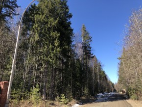 ул. Калиновая,9 в Нижняя Салда - nizhnyaya-salda.yutvil.ru - фото 4