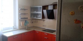 ул. Парниковая,10 в Нижняя Салда - nizhnyaya-salda.yutvil.ru - фото 12 ул. Парниковая,10 в Нижняя Салда - nizhnyaya-salda.yutvil.ru - фото 12