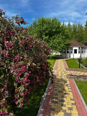 ул. Первомайская,220 в Нижняя Салда - nizhnyaya-salda.yutvil.ru - фото 2