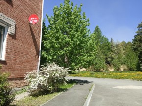 ул. Сосновая, 8 в Нижняя Салда - nizhnyaya-salda.yutvil.ru - фото 25