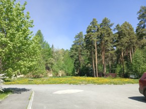 ул. Сосновая, 8 в Нижняя Салда - nizhnyaya-salda.yutvil.ru - фото 26