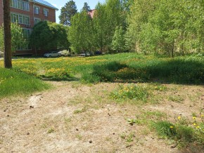 ул. Сосновая, 8 в Нижняя Салда - nizhnyaya-salda.yutvil.ru - фото 33