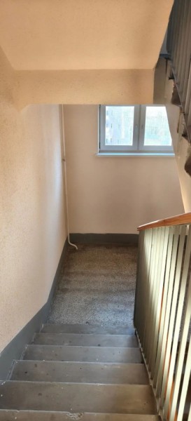 ул. Совхозная,8 в Нижняя Салда - nizhnyaya-salda.yutvil.ru - фото 20 ул. Совхозная,8 в Нижняя Салда - nizhnyaya-salda.yutvil.ru - фото 20