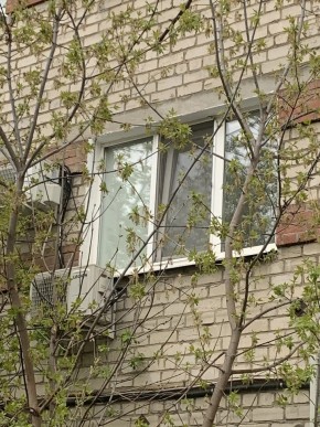 ул. Таганская,8 в Нижняя Салда - nizhnyaya-salda.yutvil.ru - фото 14