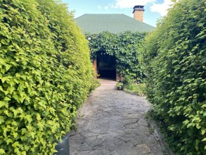 ул. Центральная,12 в Нижняя Салда - nizhnyaya-salda.yutvil.ru - фото 18