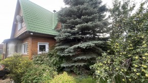 ул. Центральная,12 в Нижняя Салда - nizhnyaya-salda.yutvil.ru - фото 22