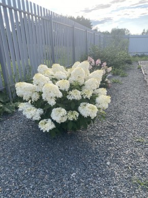 ул. Весенняя,12 в Нижняя Салда - nizhnyaya-salda.yutvil.ru - фото 20