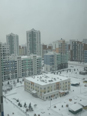 ул. Вильгельма де Геннина,47 в Нижняя Салда - nizhnyaya-salda.yutvil.ru - фото 6