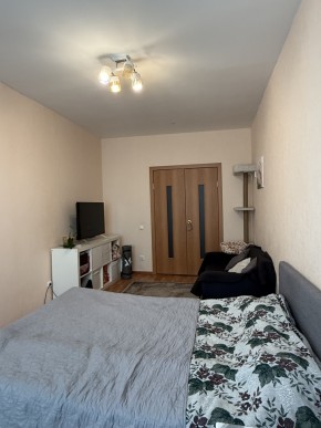 ул. Вильгельма де Геннина,47 в Нижняя Салда - nizhnyaya-salda.yutvil.ru - фото 9