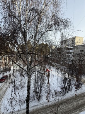 ул. Волгоградская,190 в Нижняя Салда - nizhnyaya-salda.yutvil.ru - фото 8 ул. Волгоградская,190 в Нижняя Салда - nizhnyaya-salda.yutvil.ru - фото 8